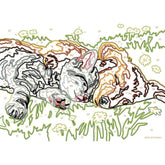 CreArt Serie E - Cane e Gatto Dolce Sonno